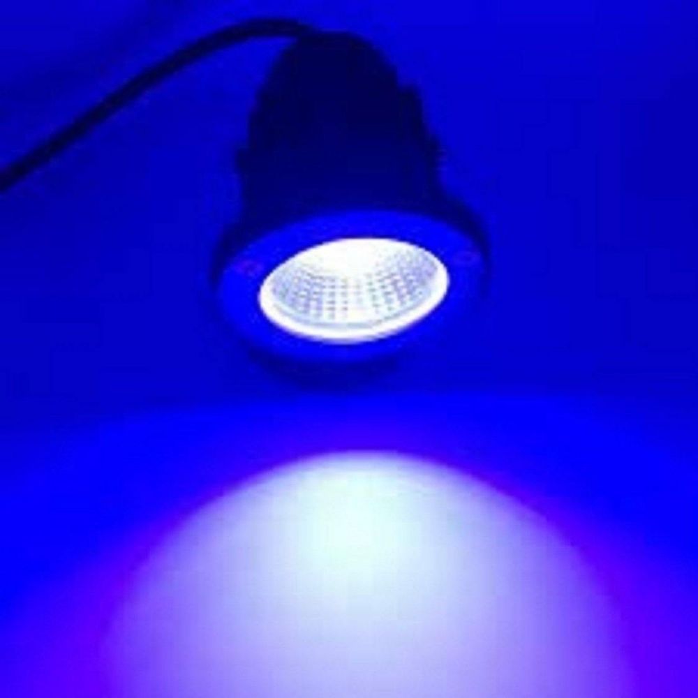 3 Watt LED Garden Spike Light - Blue