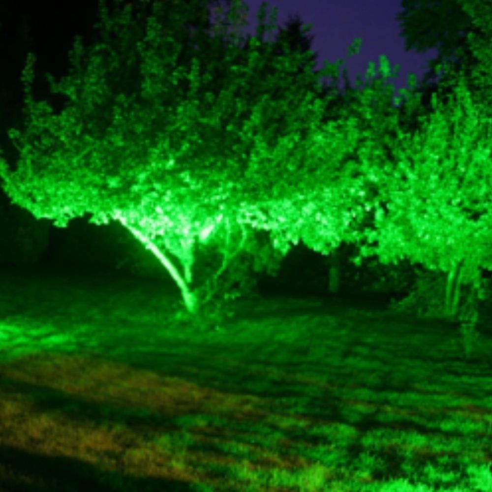 3 Watt LED Garden Spike Light - Green